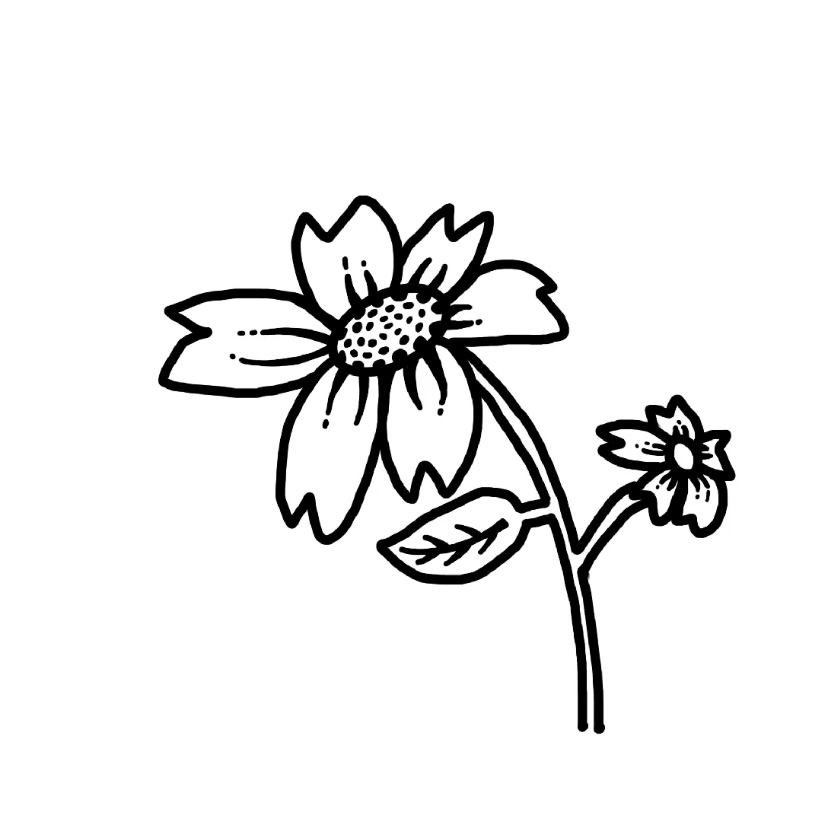 Flower doodle #1 - Step 8