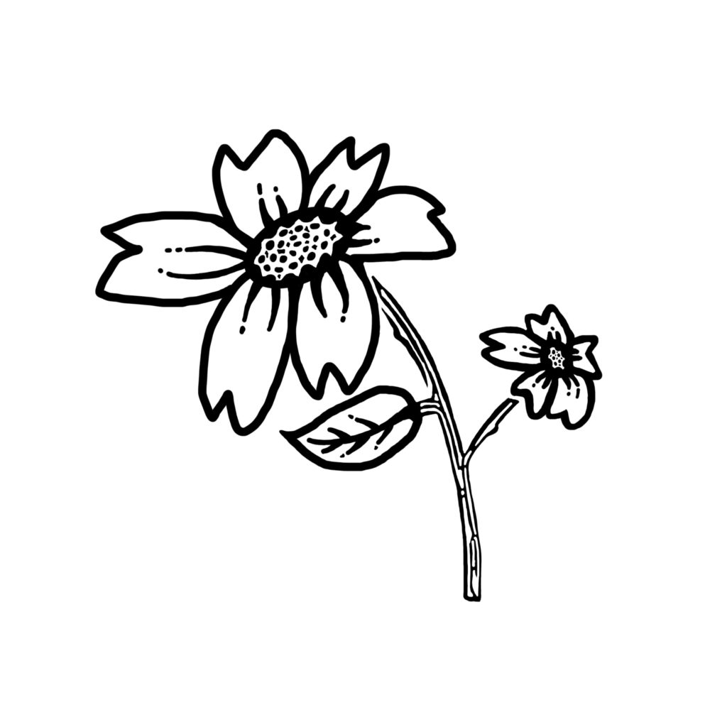 Flower doodle #1 - Step 9