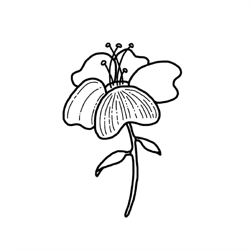 Flower doodle #3 - Step 10a