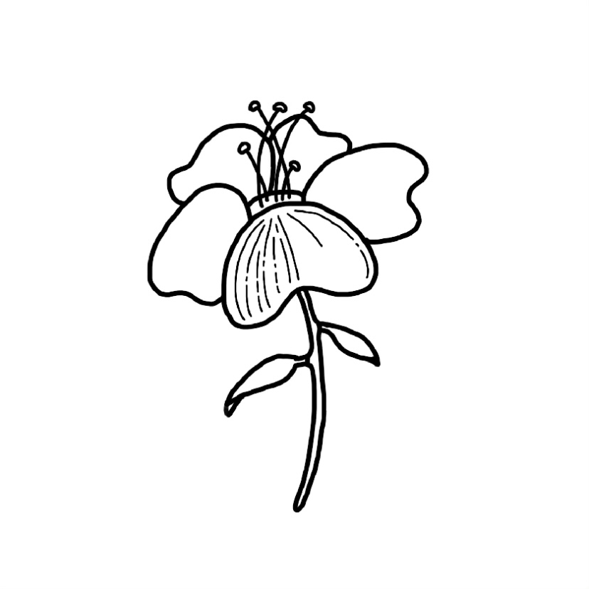 Flower doodle #3 - Step 9a