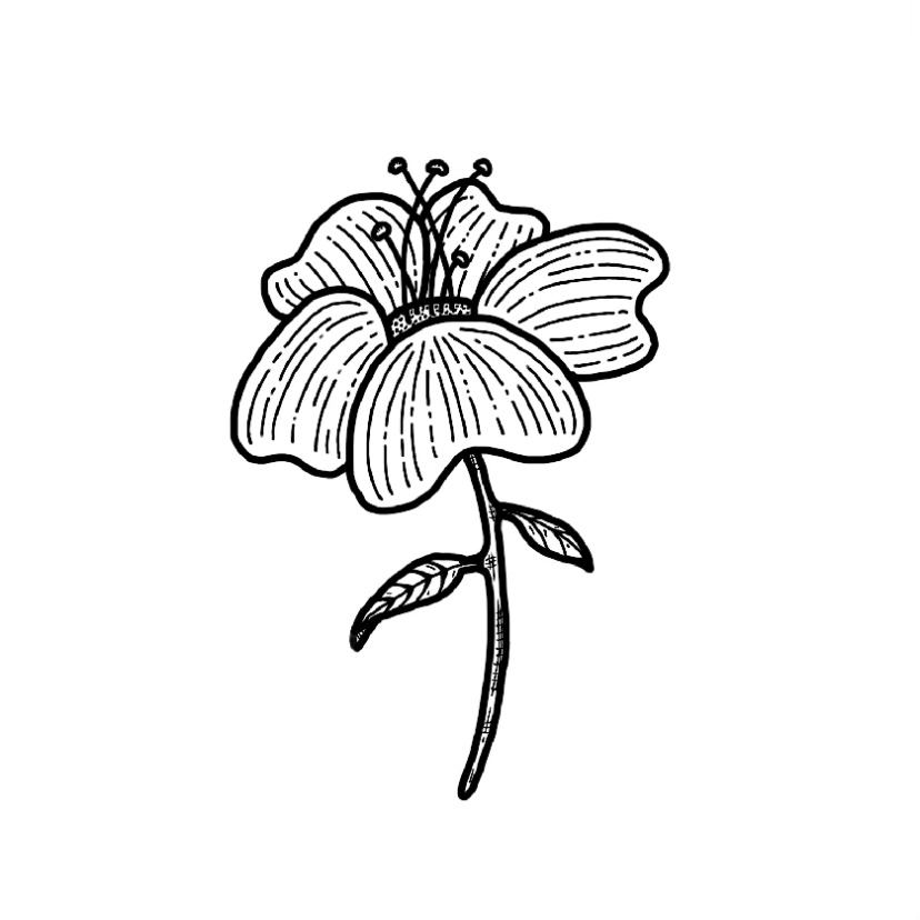 Flower doodle #3 - Miranda Luk Arts