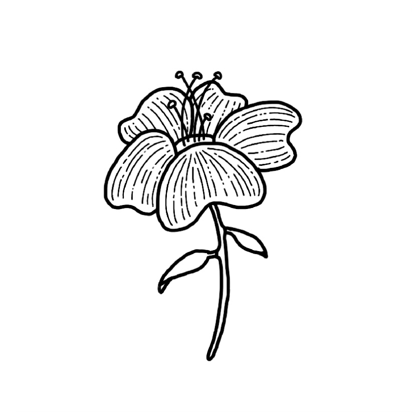 Flower doodle #3 - Step 10c