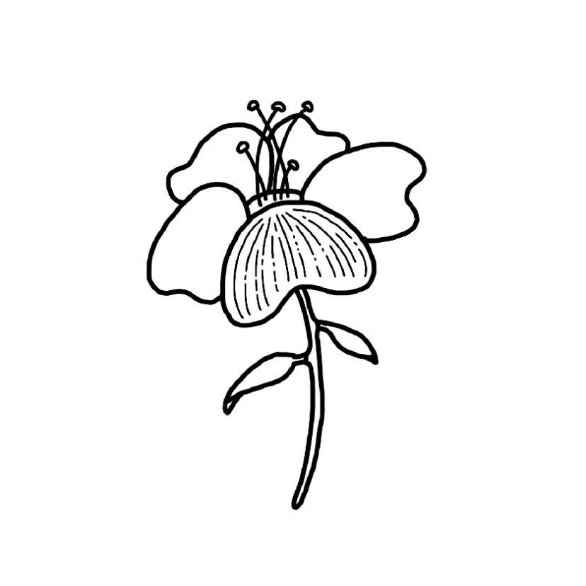 Flower doodle #3 - Step 9b