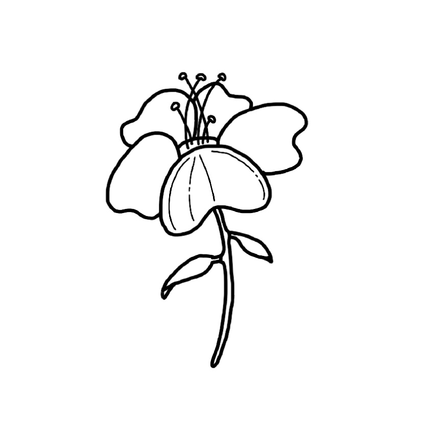 Flower doodle #3 - Step 8b