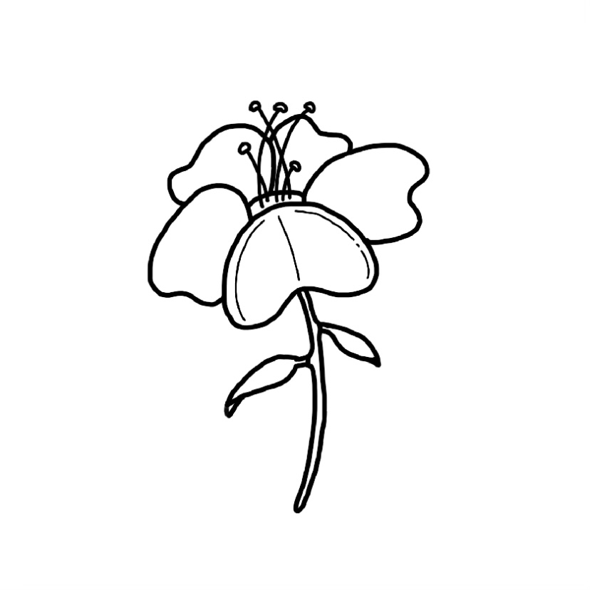 Flower doodle #3 - Step 8a