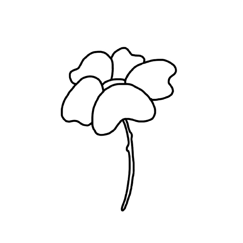 Flower doodle #3 - Step 5