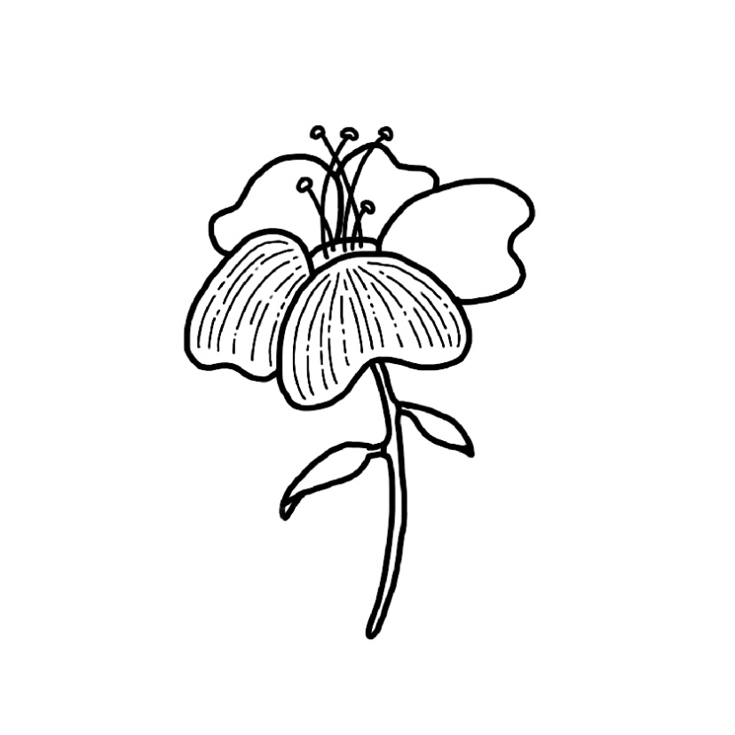 Flower doodle #3 - Step 10b