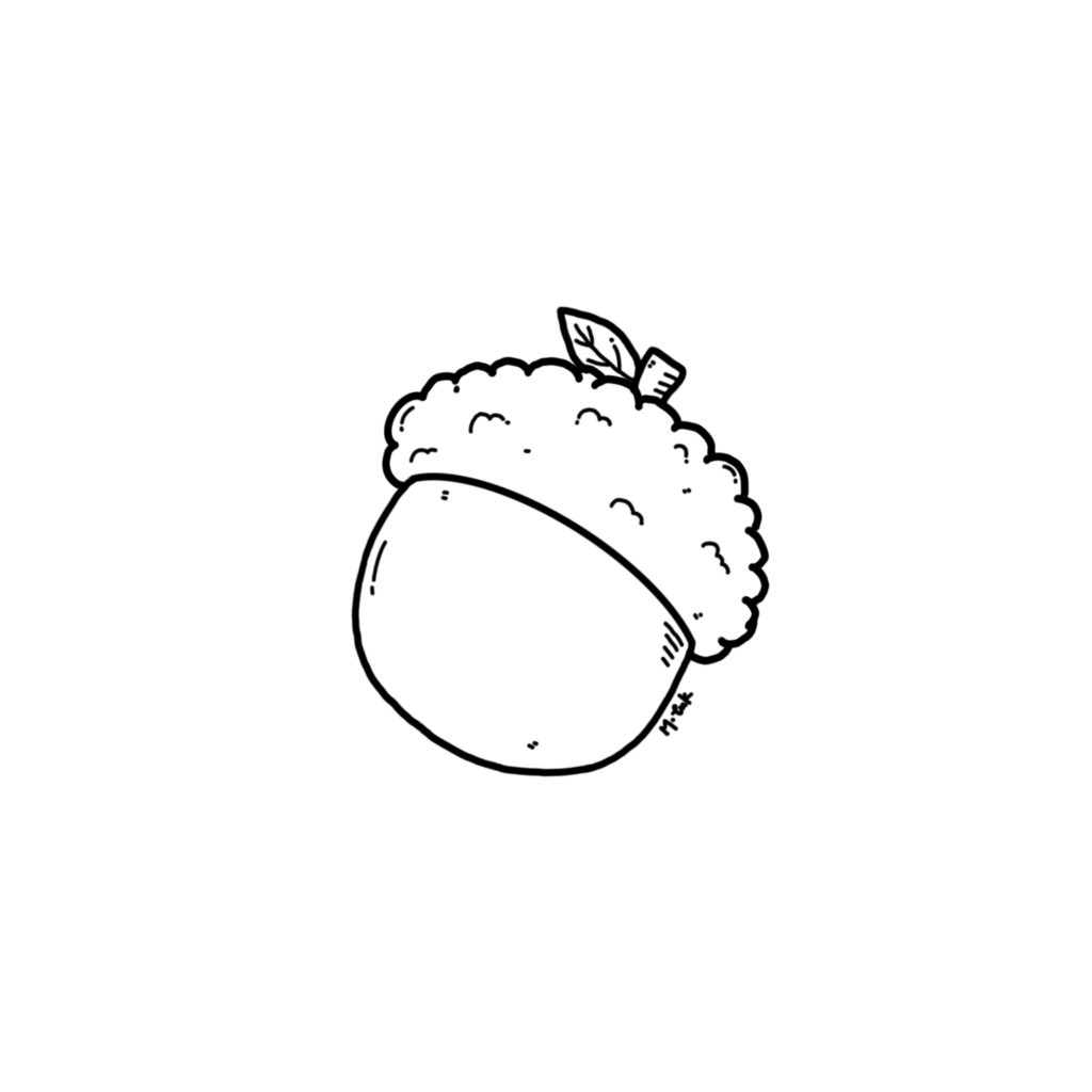 Acorn doodle - Step 5