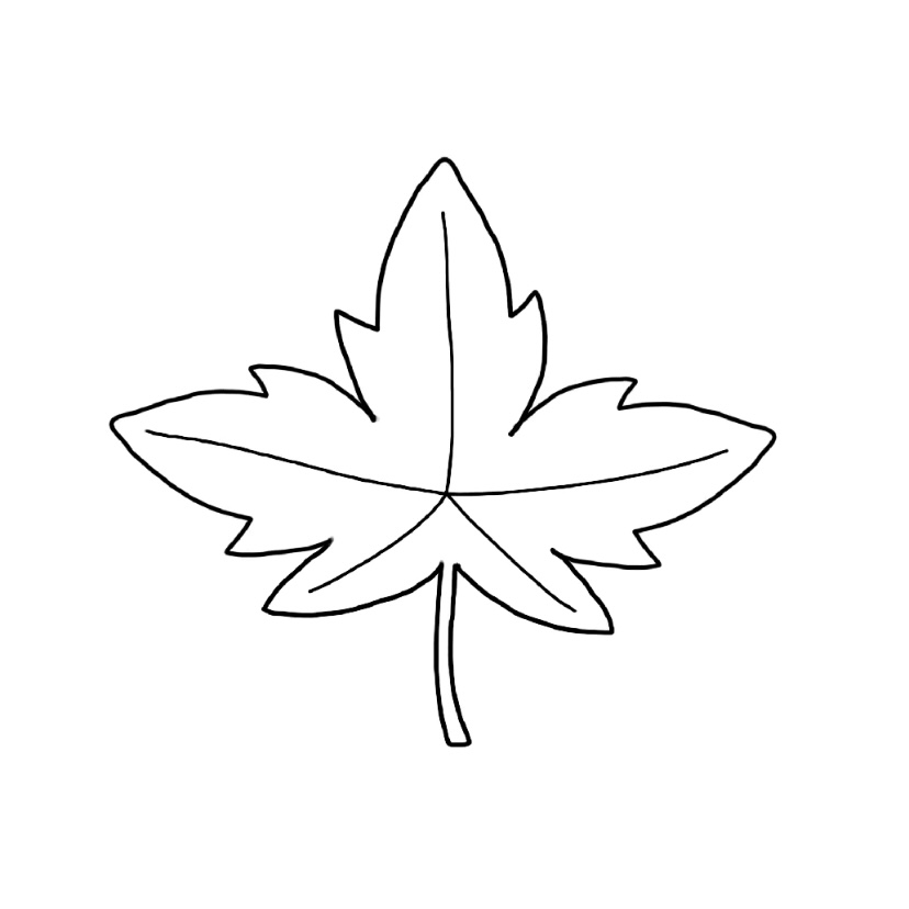 Maple doodle - Step 5