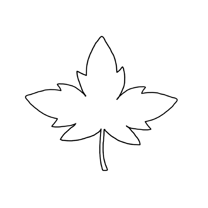 Maple doodle - Step 4