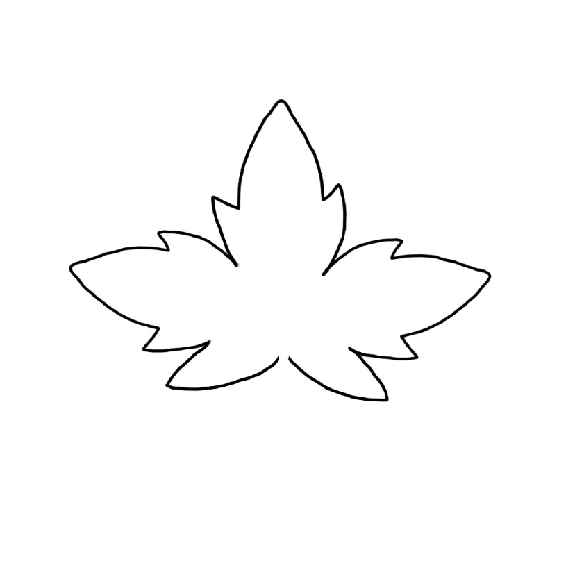 Maple doodle - Step 3