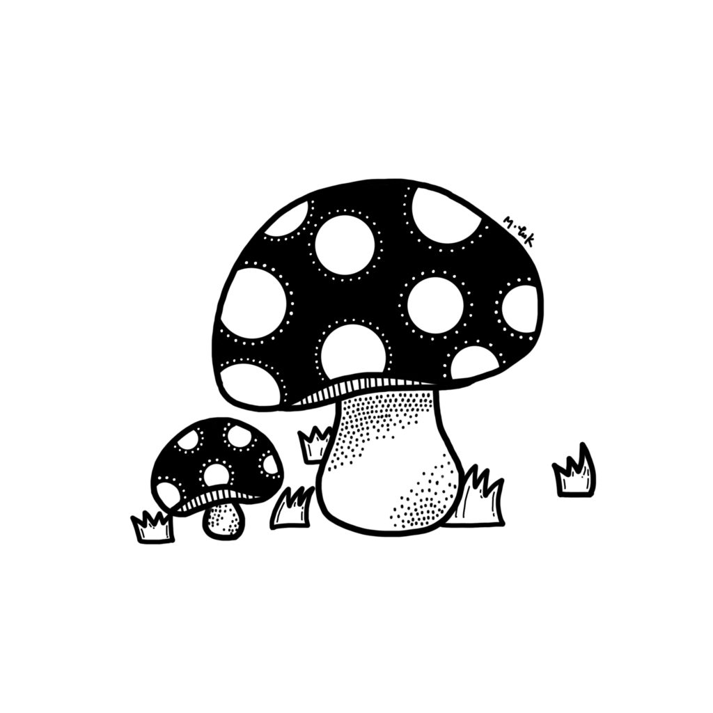 How to draw a mushroom in 9 steps