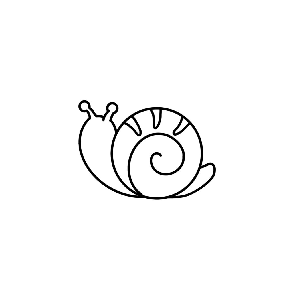 How to draw a snail - Step 4