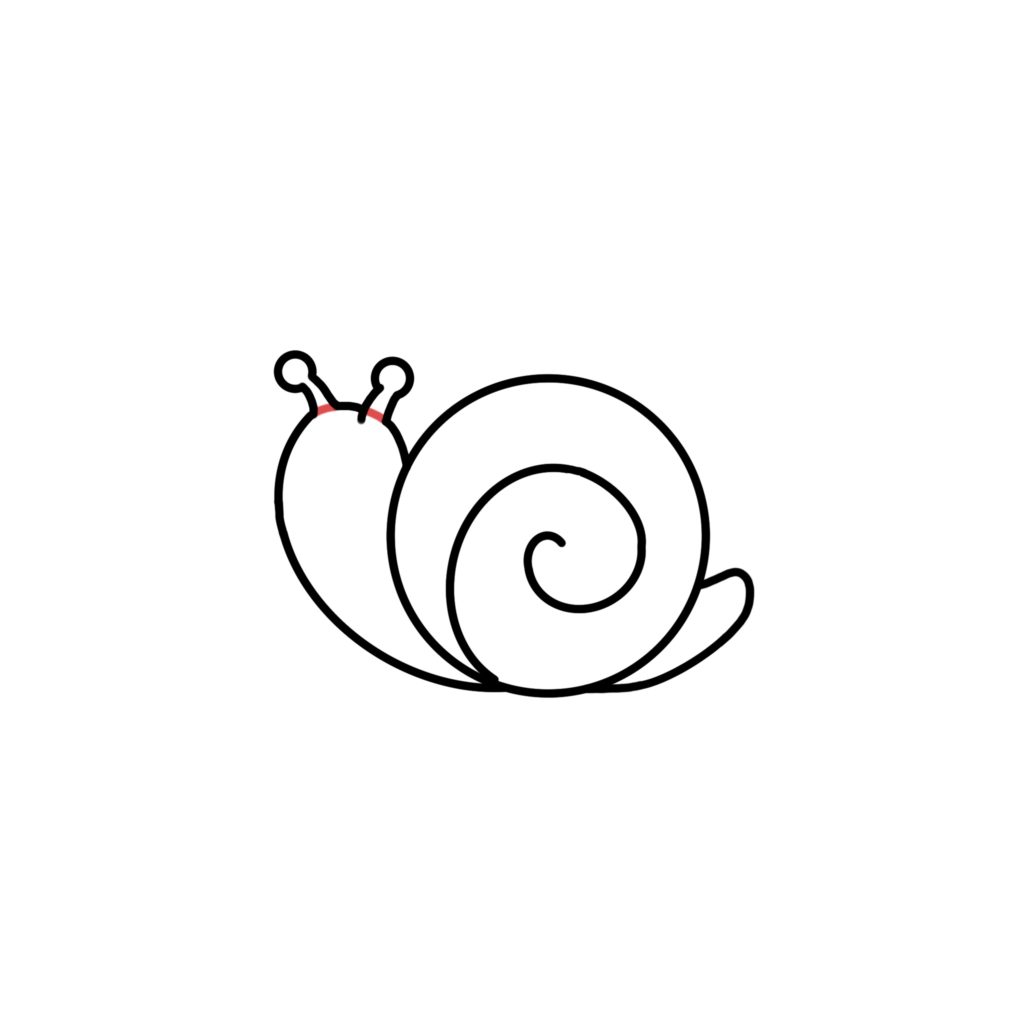 How to draw a snail - Step 3